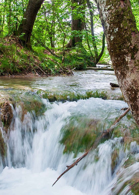 Grosser Bach, kleiner Wasserfall im Wald - Entspannung pur.